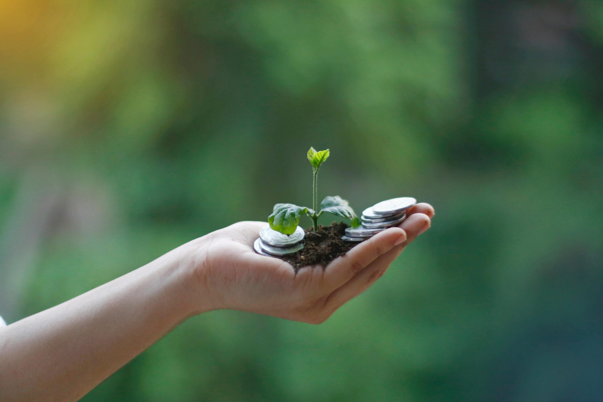 Photo by Akil Mazumder from Pexels. verified carbon document