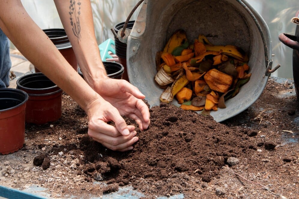biogas slurry, carbon trading, verifying carbon document by pexel