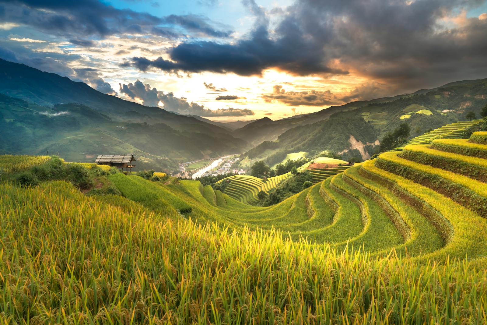 Stunning landscape of rice terraces at sunrise in rural Vietnam, showcasing natural beauty.