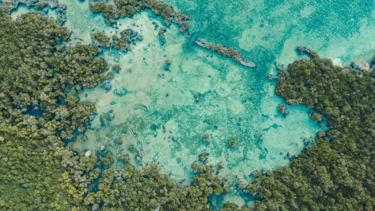 A breathtaking aerial view of Zanzibar's coast, showcasing turquoise waters and lush green mangroves.