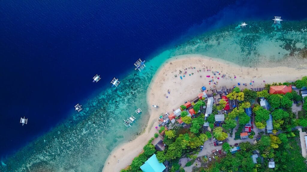 A stunning aerial view of Oslob Beach, Cebu, with vibrant blue waters and lush greenery. blue carbon.