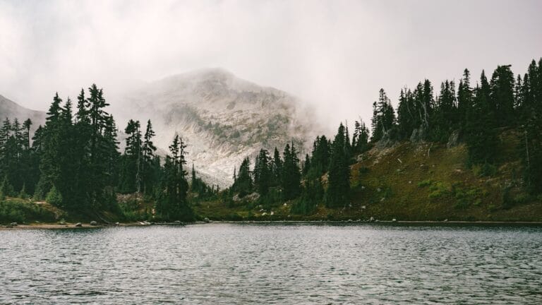 lake in forest near mountain. AFOLU