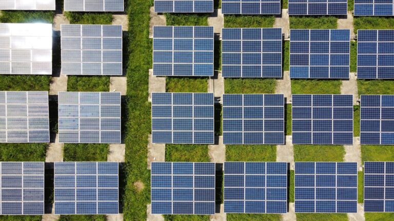 IFRS Standards in Sustainability Reporting