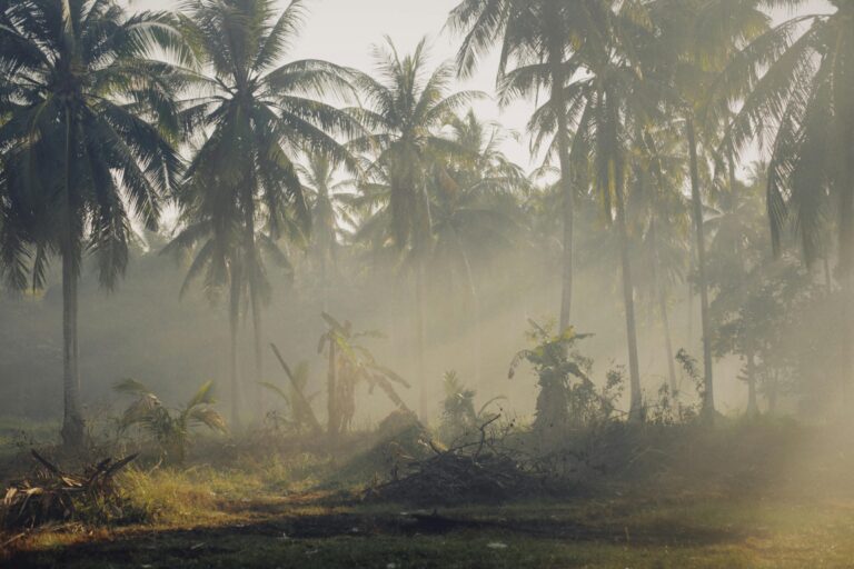 Mengintegrasikan AFOLU ke dalam Sustainability Report: Parameter Esensial dan Hal yang Perlu Diperhatikan